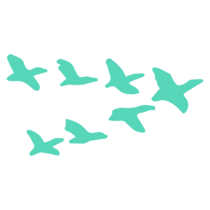 icon of a flock of birds flying in V formation